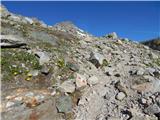 Lenzanger - Rojacher Hütte